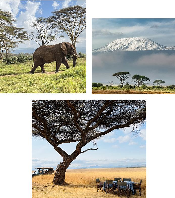 Horn+ Crane - Elephant, Kilimanjaro and lunch under a tree