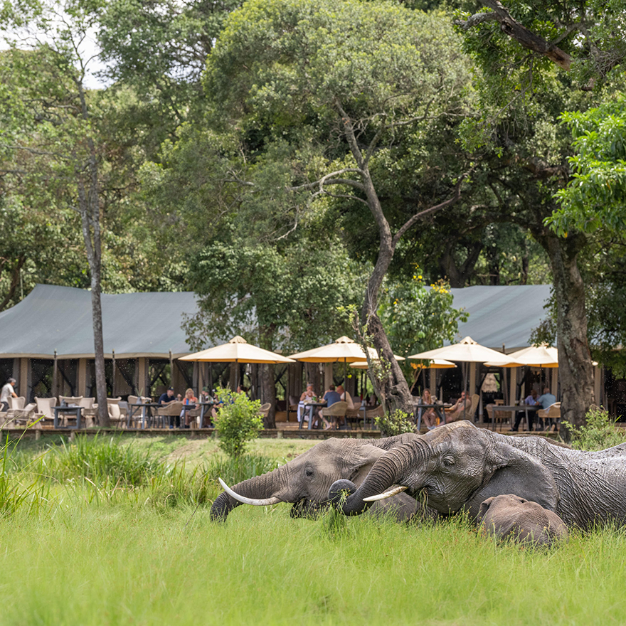 Little Governors Camp